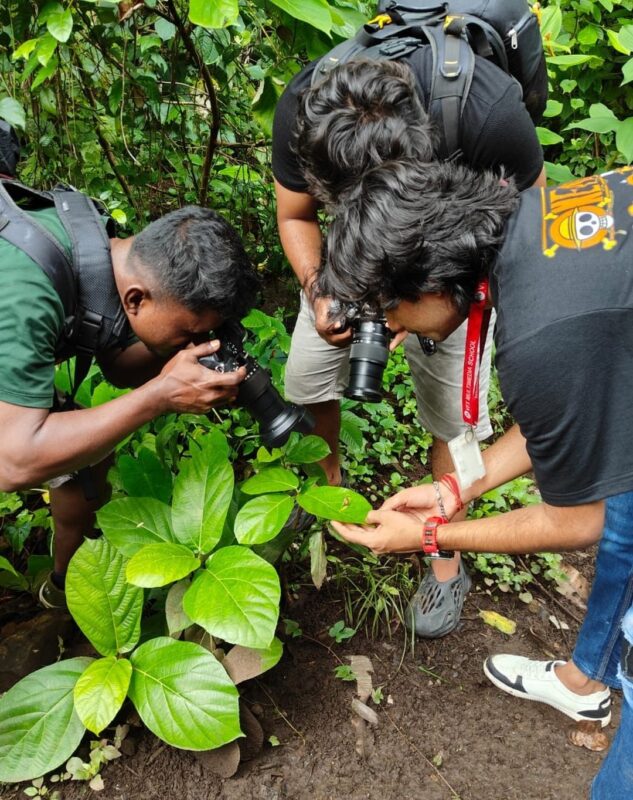 Best Photography Course in Vasai